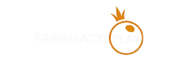 PP partner logo
